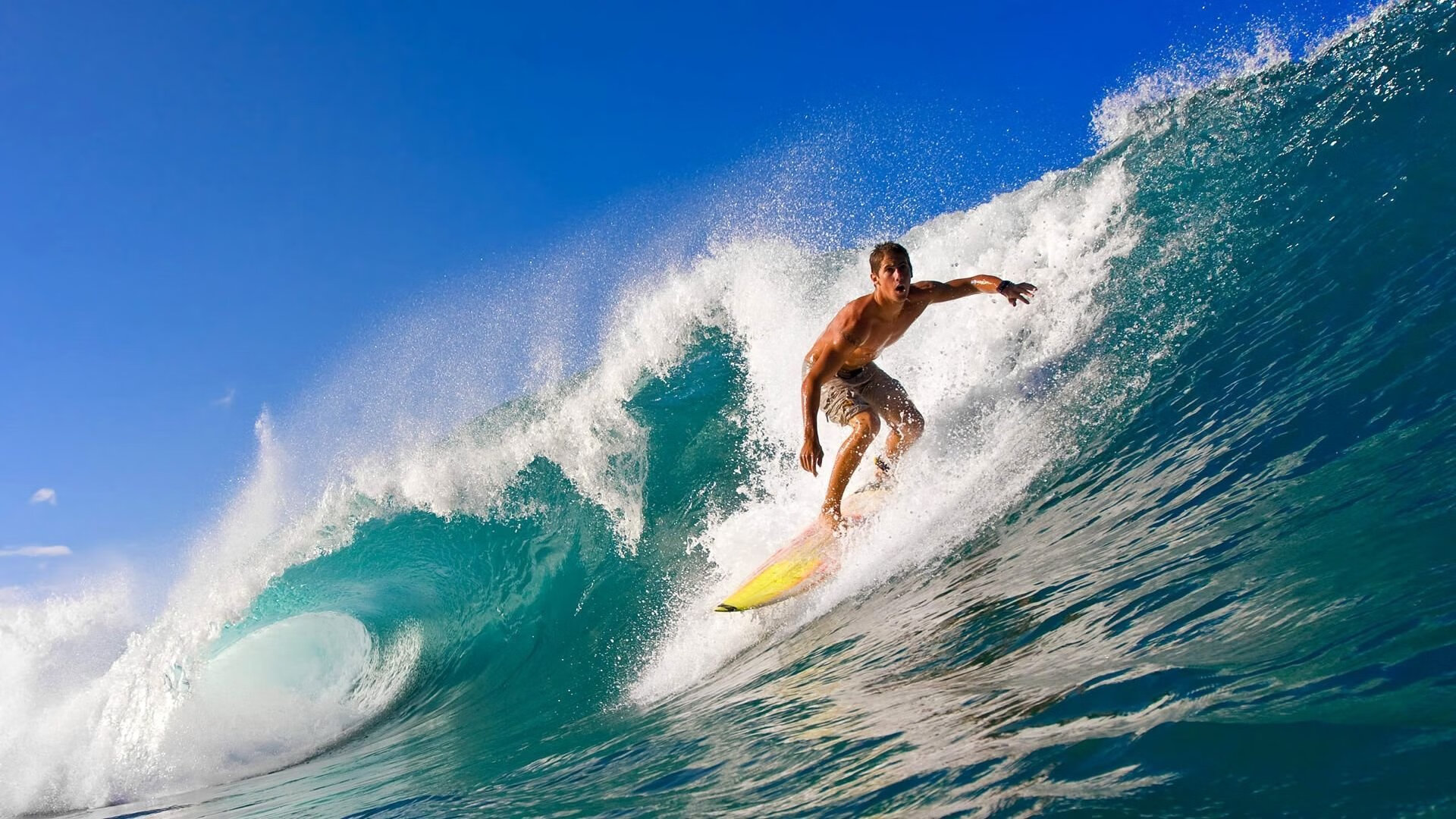 山地越野自行车赛事,穿越森林与丘陵的极速挑战,2020山地自行车越野赛